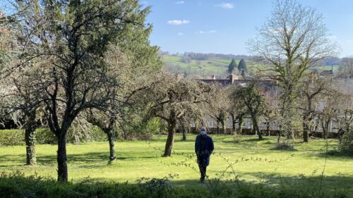 om os bag bellevue - vores franske bellevue